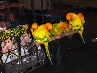 Dec 12, 2014 - Dinner and Night Market - Chiang Mai, Thailand